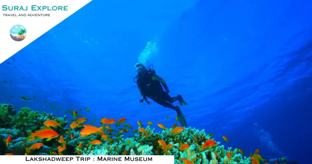 Lakshadweep Trip Marine Museum