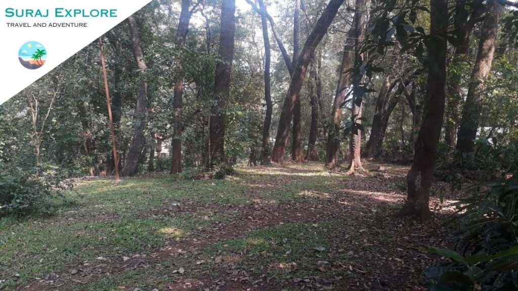 Ryewood Park