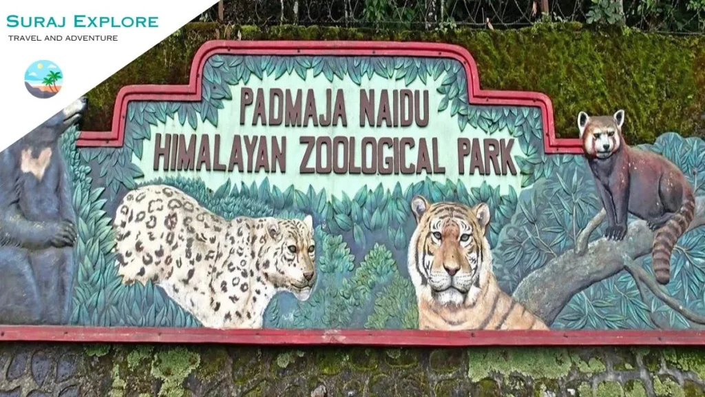 Padmaja Naidu Himalayan Zoological Park