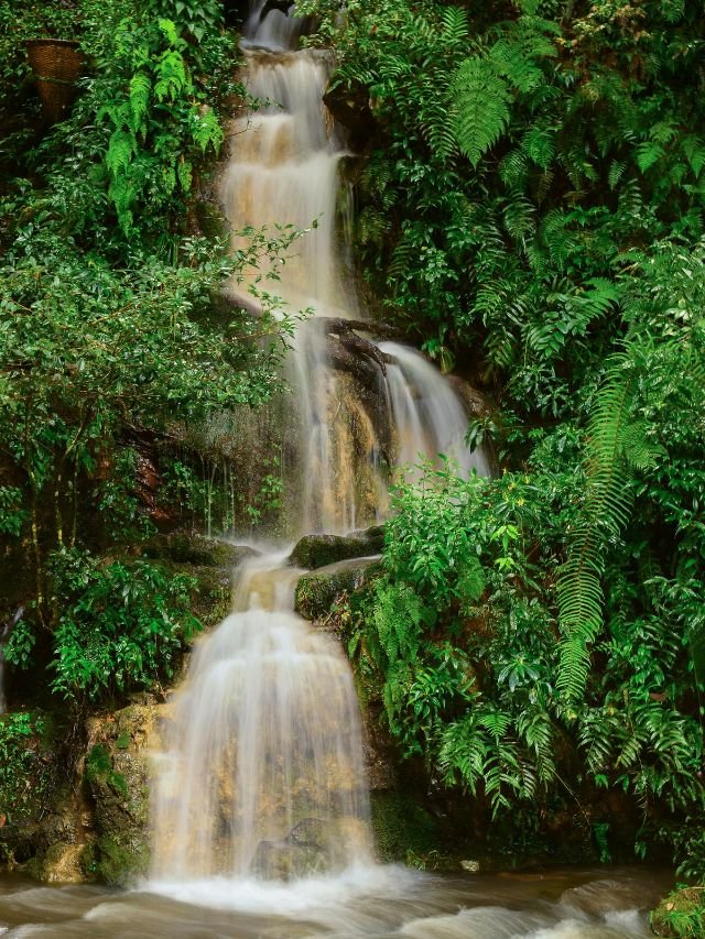 Shillong