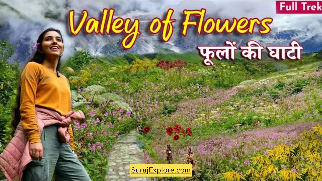 Valley of Flowers जाने का सही तरीका: रजिस्ट्रेशन, परमिट और जरूरी जानकारी